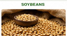 Soybeans